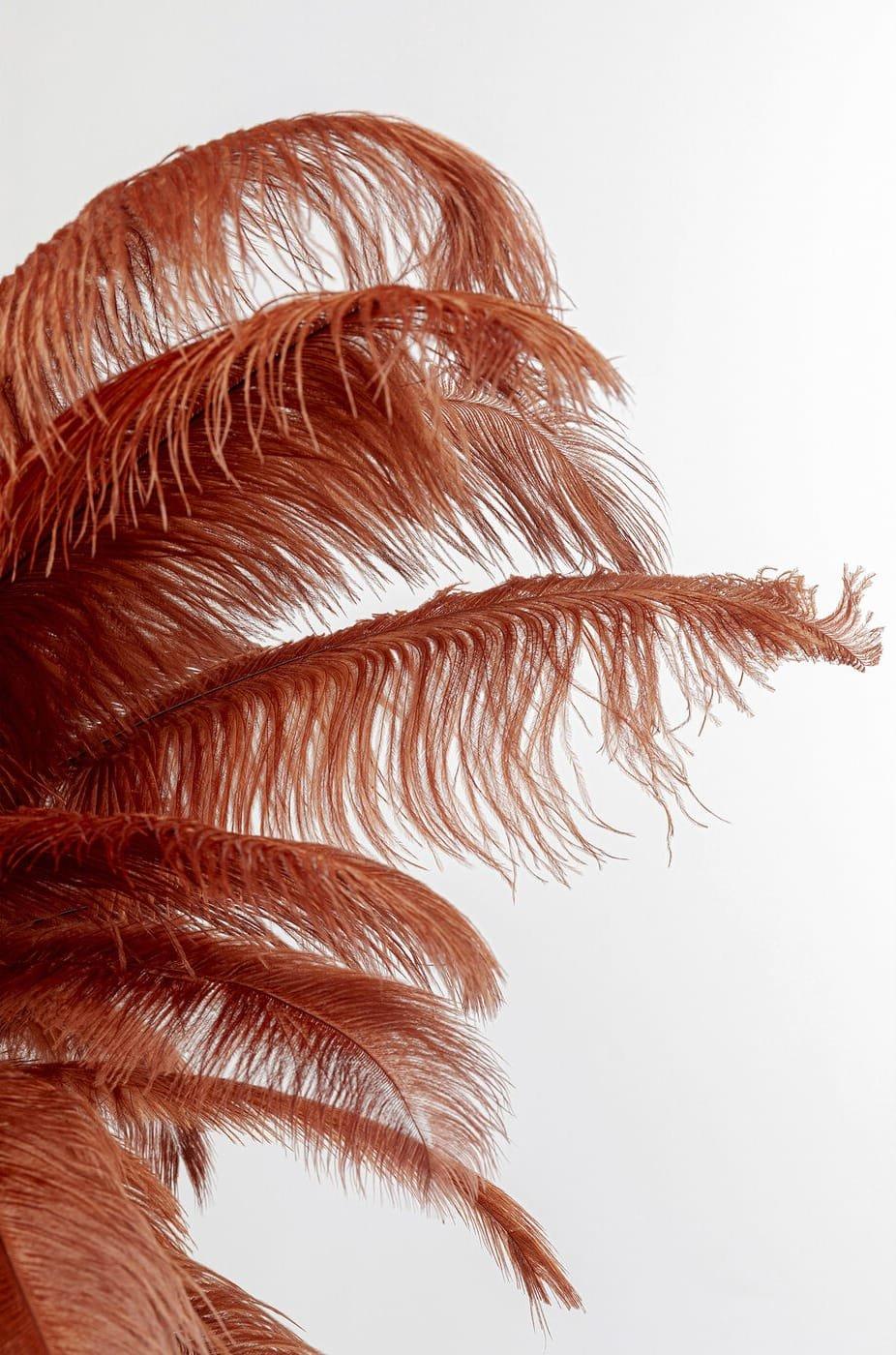 KARE Design  Lampada da terra Feather Palm Rusty Red 165 