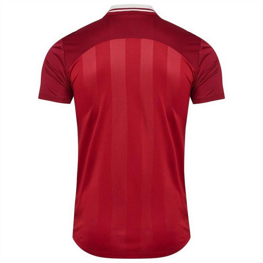 Hummel  Maillot Domicile Motiftyle Danemark 