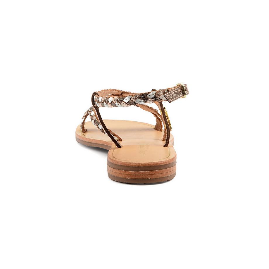 Les Tropeziennes  HOMARIE-41 