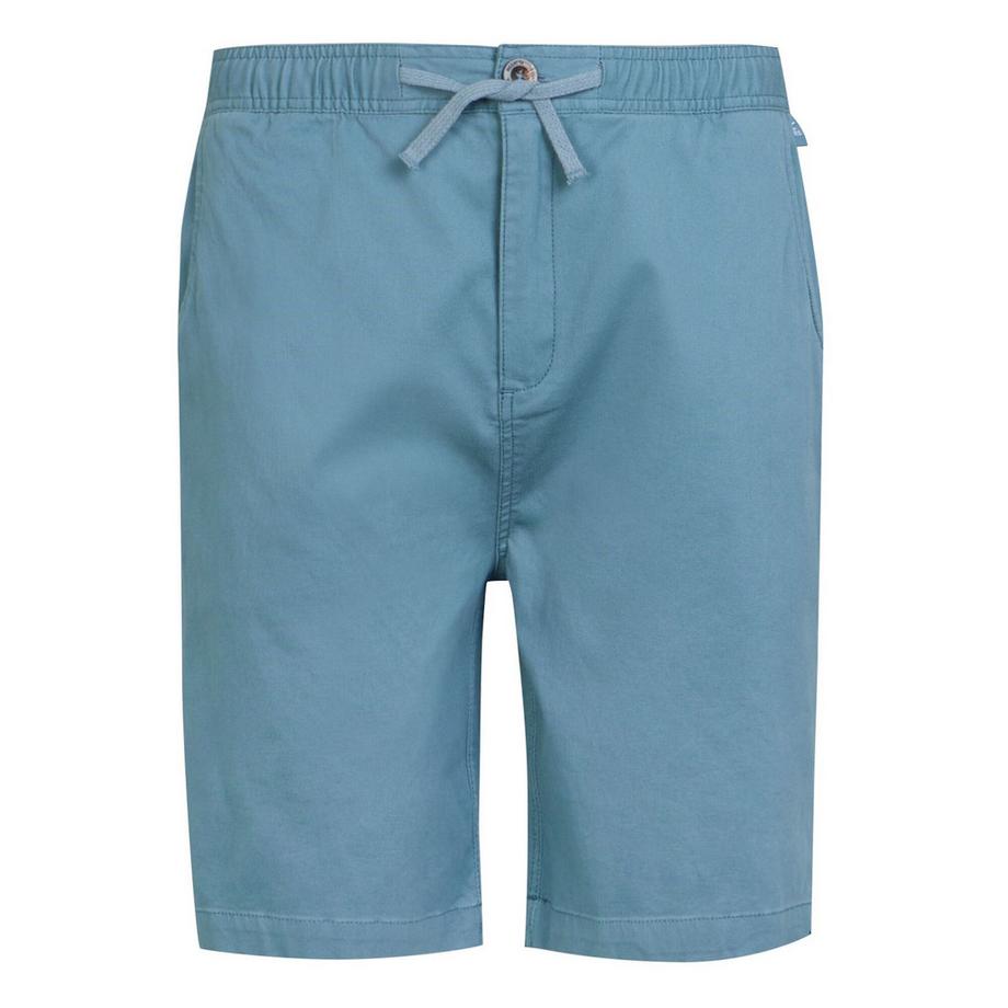 Regatta Aldan Shorts  