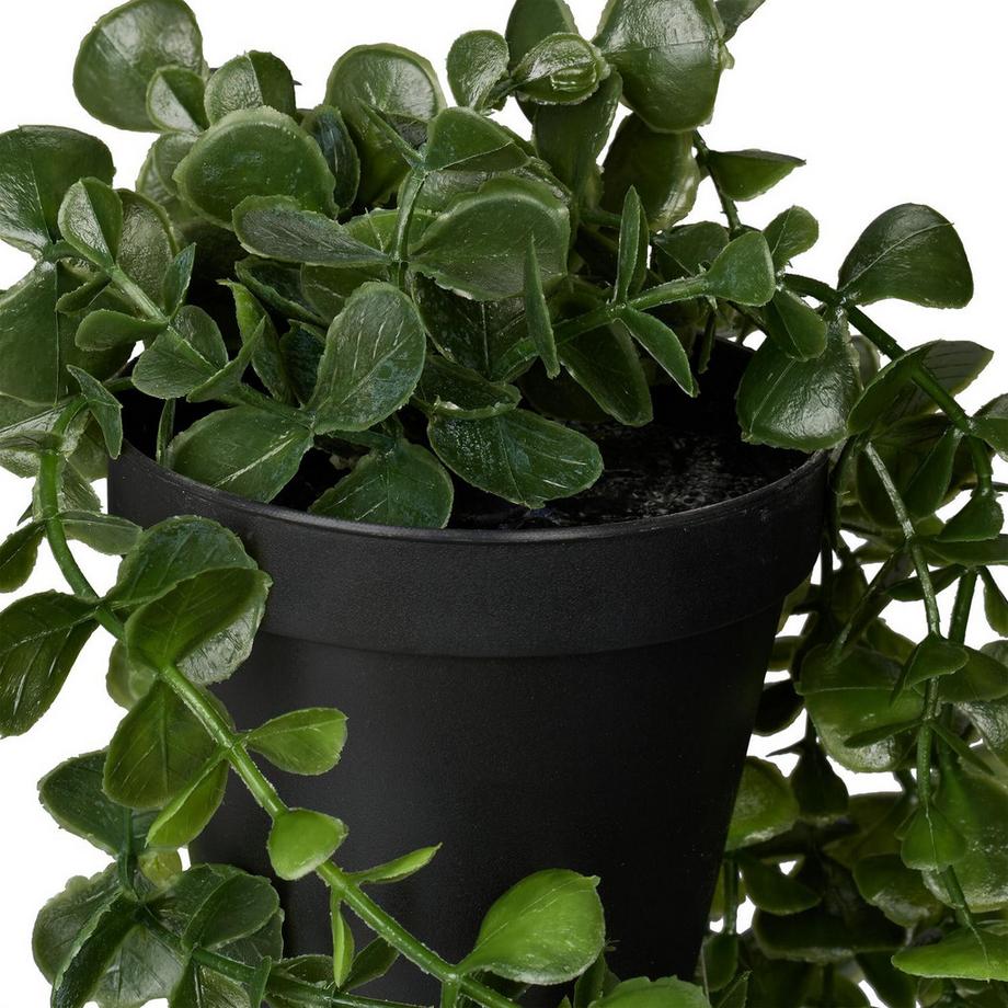 Northix Künstliche Hängepflanzen Set  