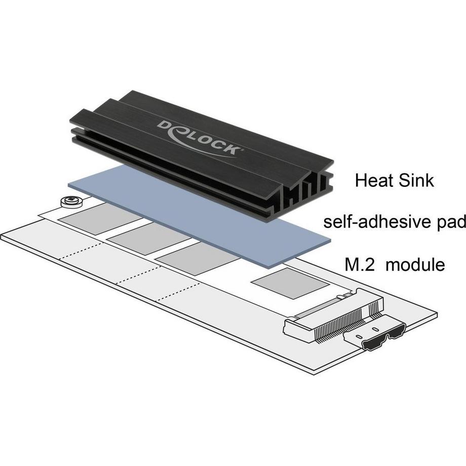 DeLock  M.2-Kühlkörper 