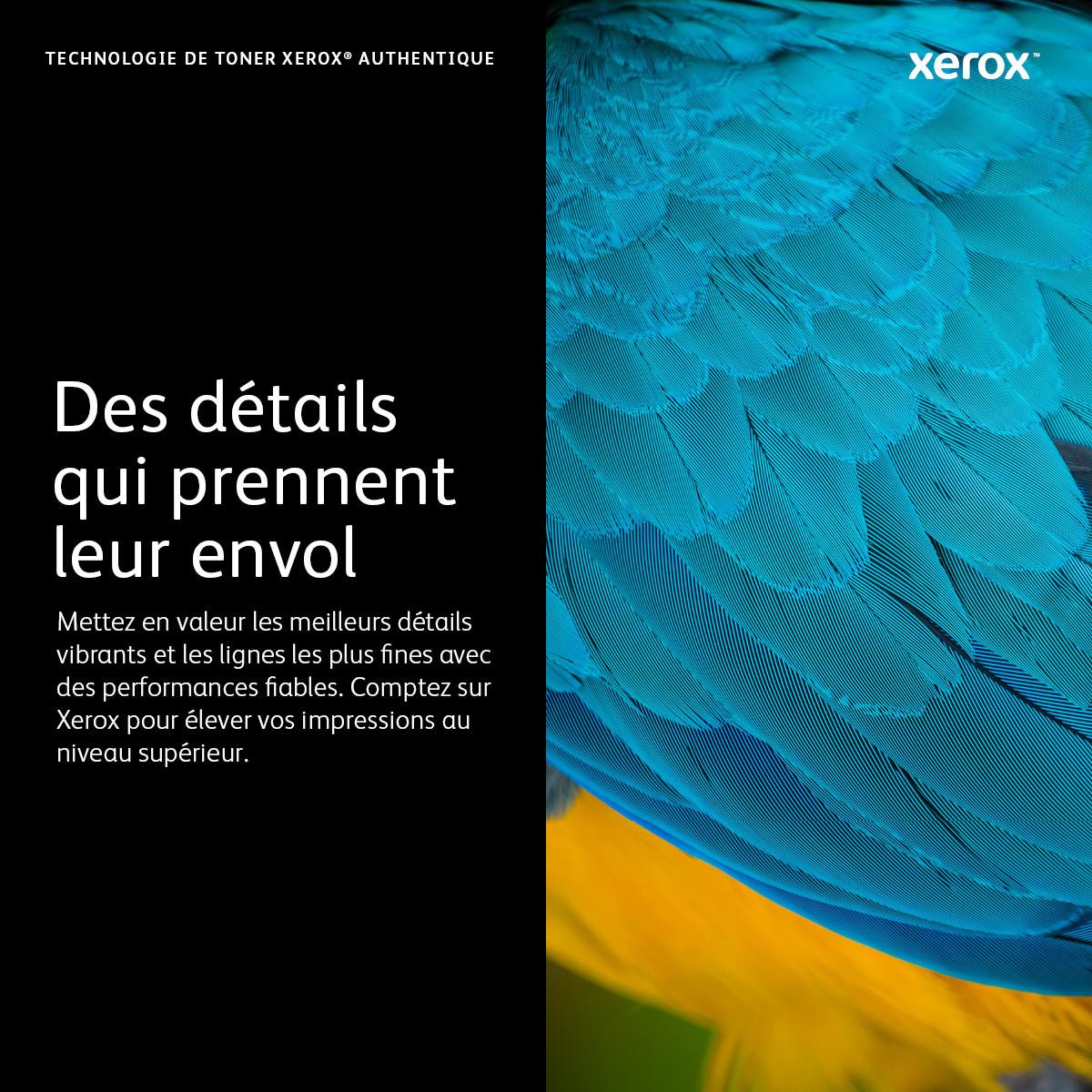 XEROX  Cartouche de toner Noir de Capacité standard Imprimante couleur ® C410​/​multifonctions ® VersaLink® C415 (2400 pages) - 006R04677 