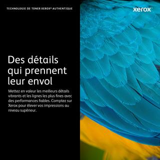 XEROX  Cartouche de toner Noir de Capacité standard Imprimante couleur ® C410​/​multifonctions ® VersaLink® C415 (2400 pages) - 006R04677 