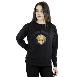 Guardians Of The Galaxy  Sweatshirt 