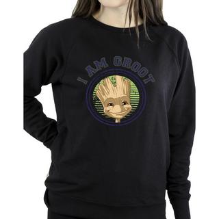 Guardians Of The Galaxy  Sweatshirt 