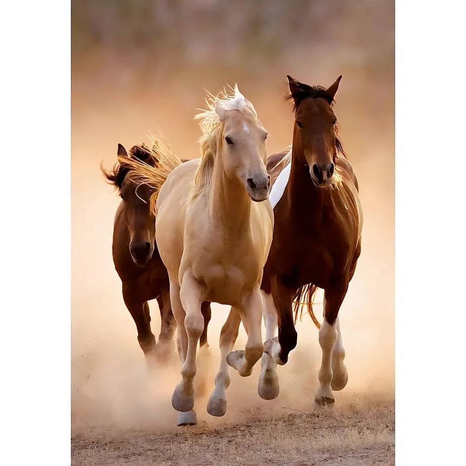 Clementoni  Puzzle Galoppierende Pferde (1000Teile) 