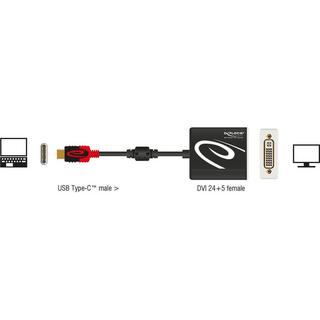 DeLock  Adaptateur  USB Type-C - DVI-D 