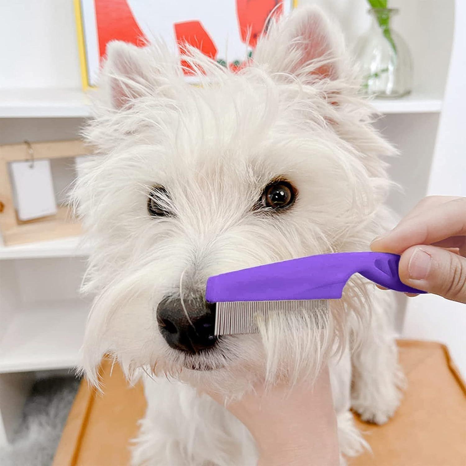 Northio  Pettine per pidocchi - acciaio inossidabile - asta viola 