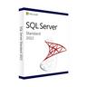 Microsoft  SQL Server 2022 Standard (16 Core) - Lizenzschlüssel zum Download - Schnelle Lieferung 77 