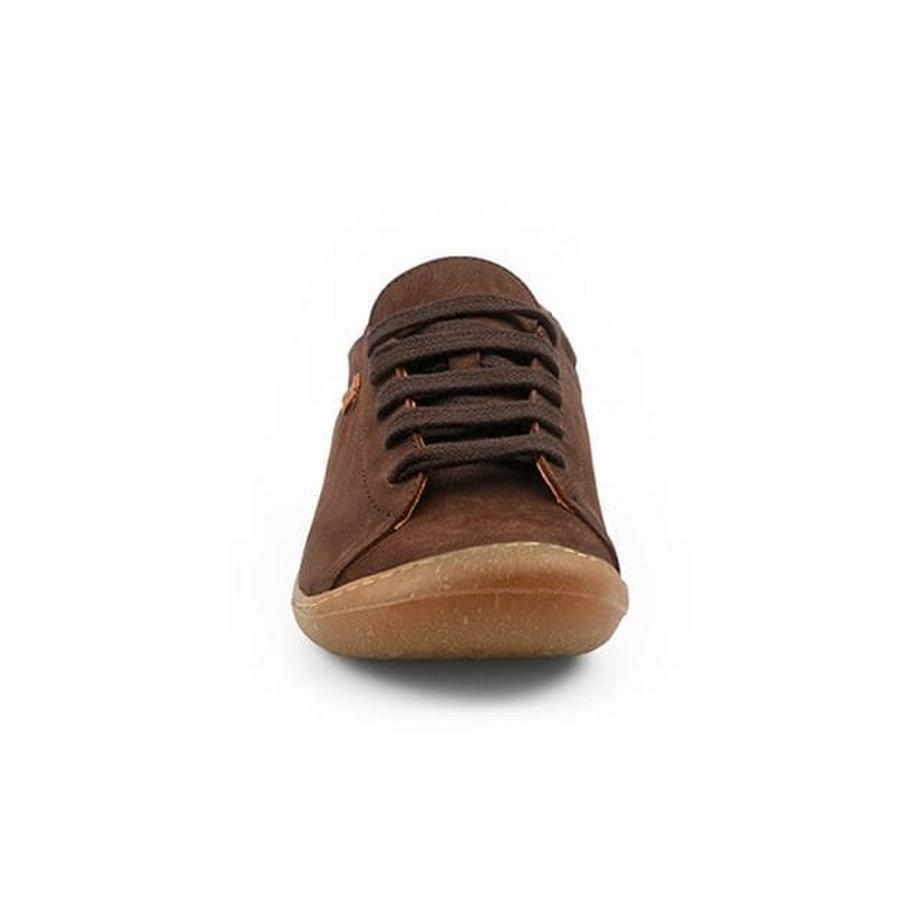 El Naturalista  PAWIKAN-37 