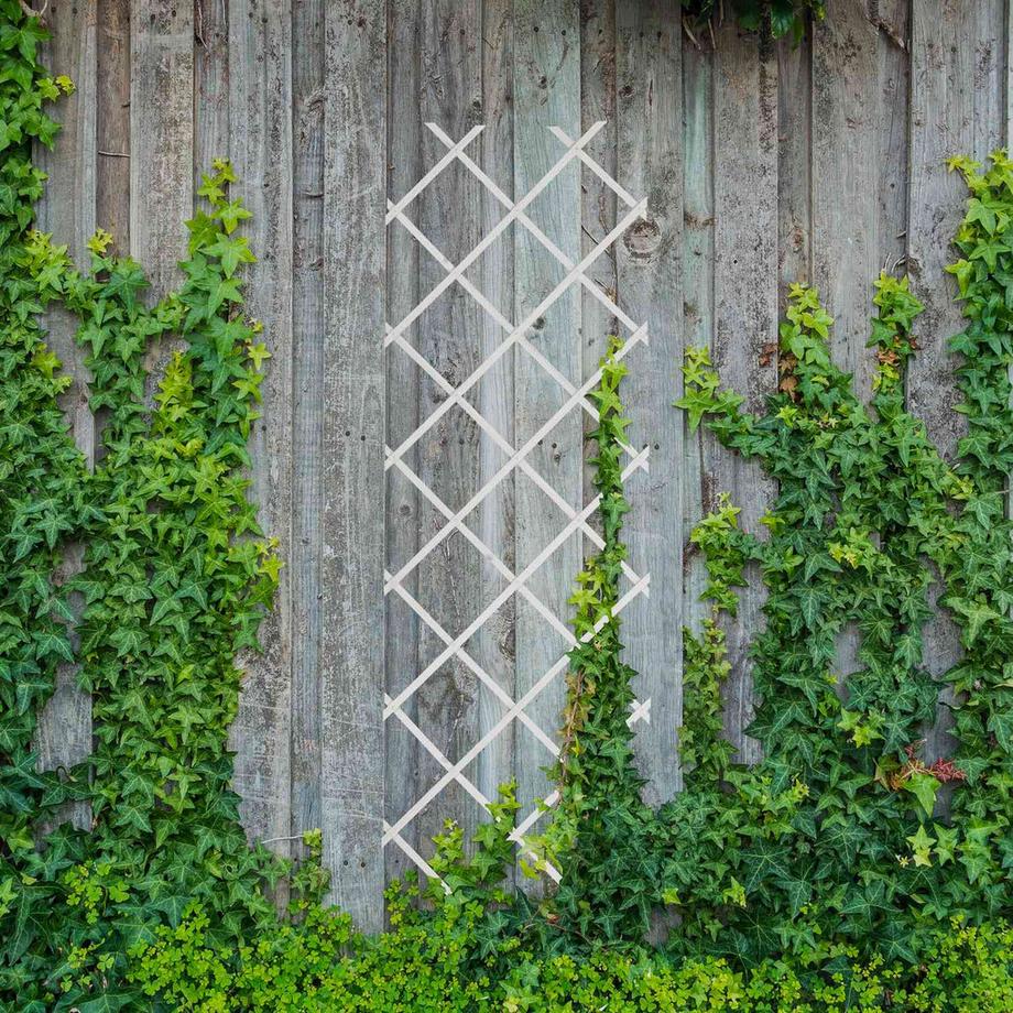 Northix Ensemble de treillis extensible pour plantes  