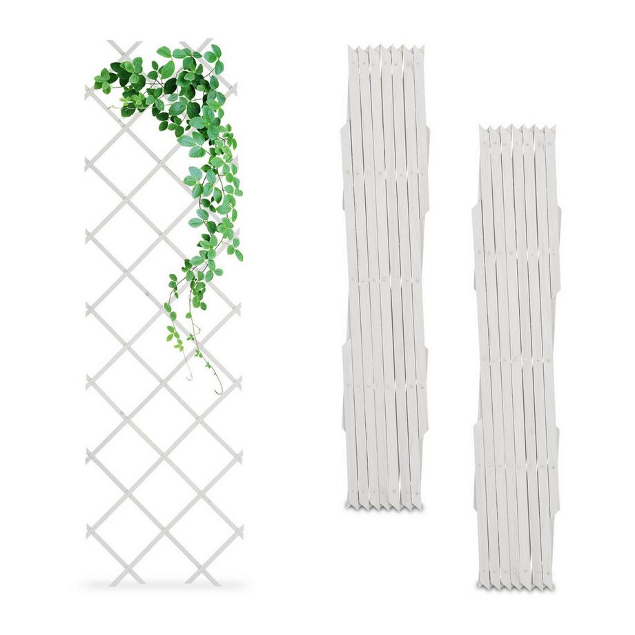 Ensemble de treillis extensible pour plantes