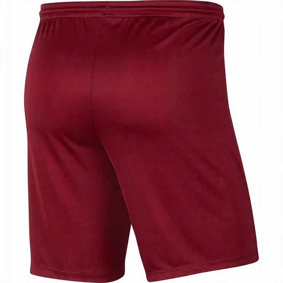 NIKE  Short Dry Park 
