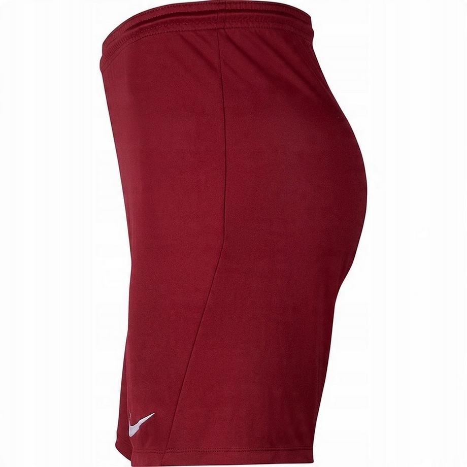 NIKE  Short Dry Park 