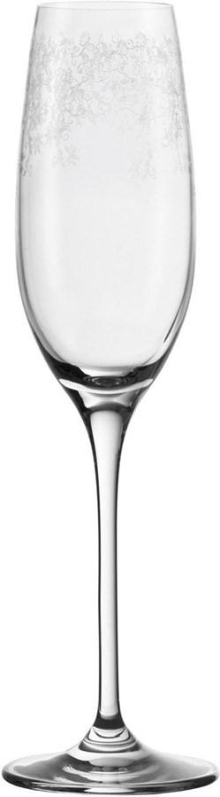 LEONARDO Sektglas Chateau 200 ml, 6 Stück, Transparent   