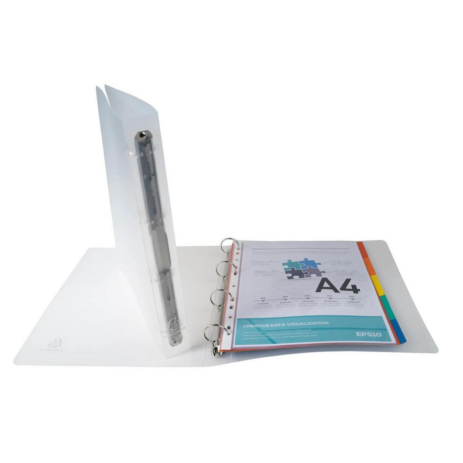 Exacompta Classeur 4 anneaux 30 mm polypropylène Chromaline - A4 maxi - x 10  