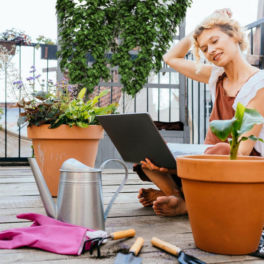B2X Pflanzkasten mit Spalierwand in Grau  