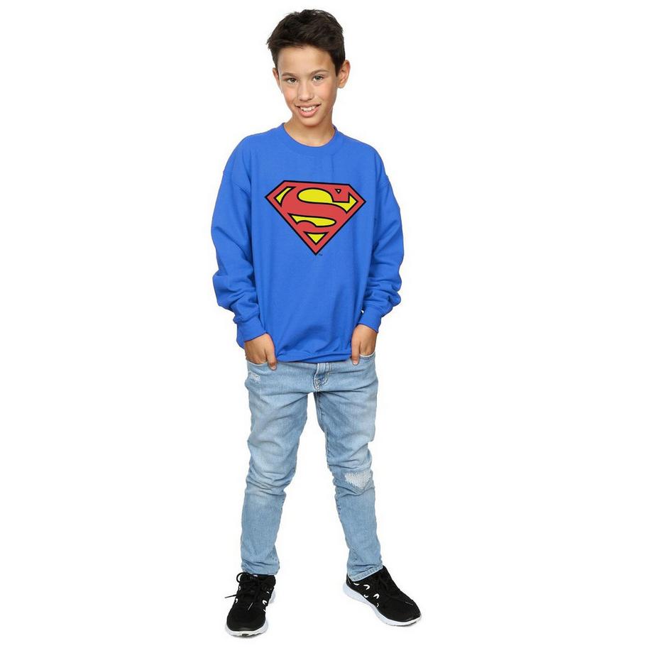 DC COMICS  Sweatshirt 