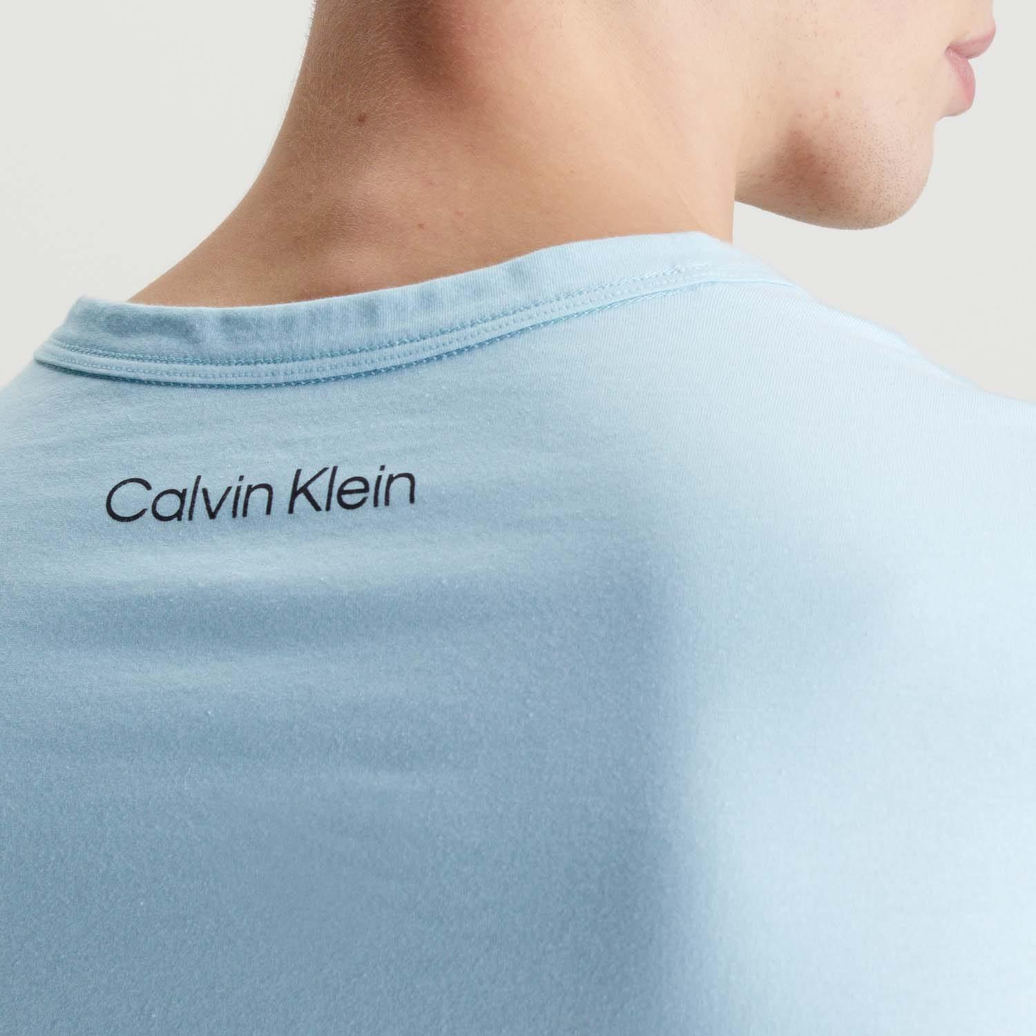 Calvin Klein Logo Regular Fit T-Shirt  