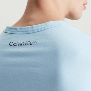 Calvin Klein Logo Regular Fit T-Shirt  