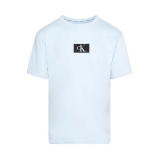 Calvin Klein Logo Regular Fit T-Shirt  