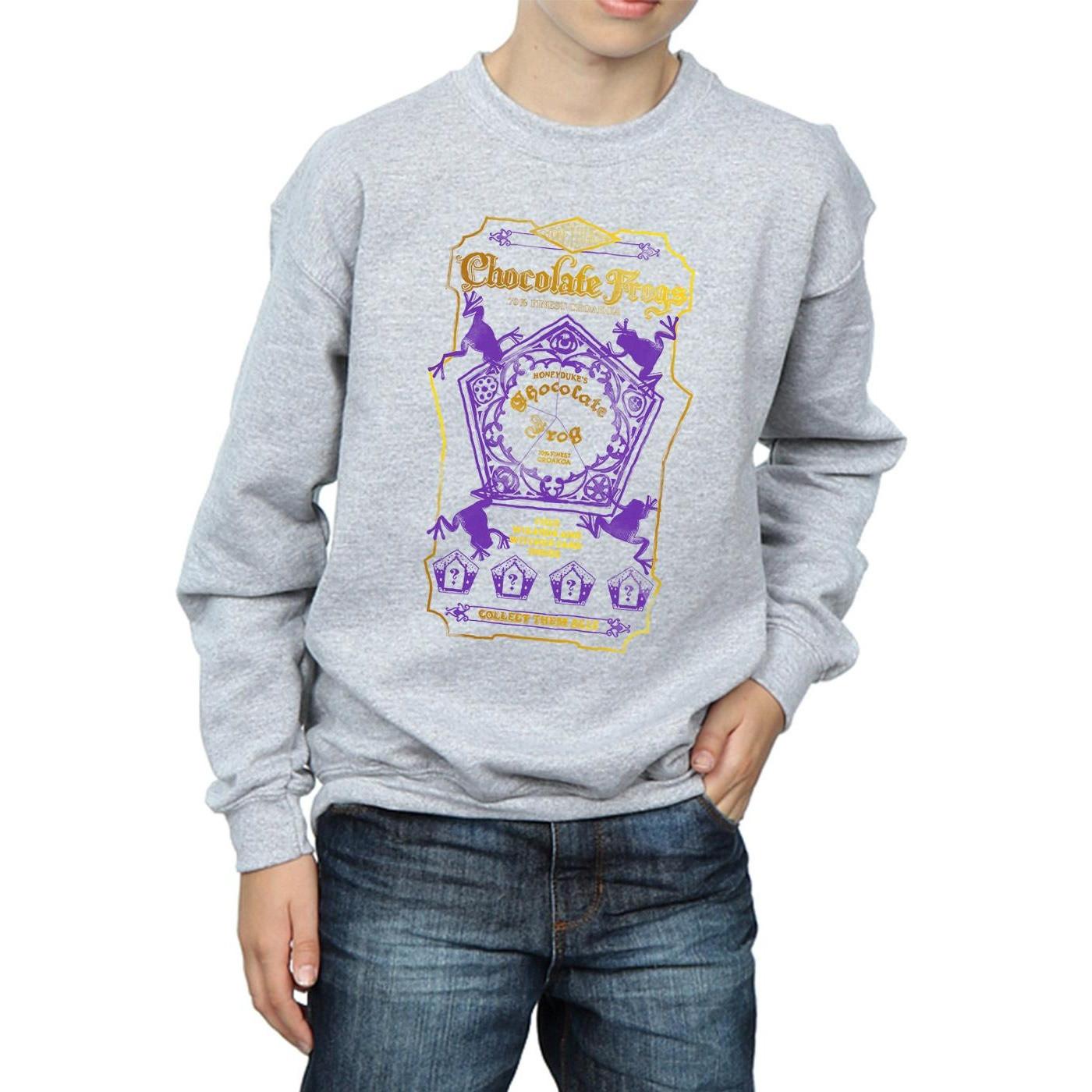 Harry Potter  Sweatshirt 