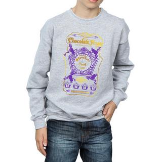 Harry Potter  Sweatshirt 