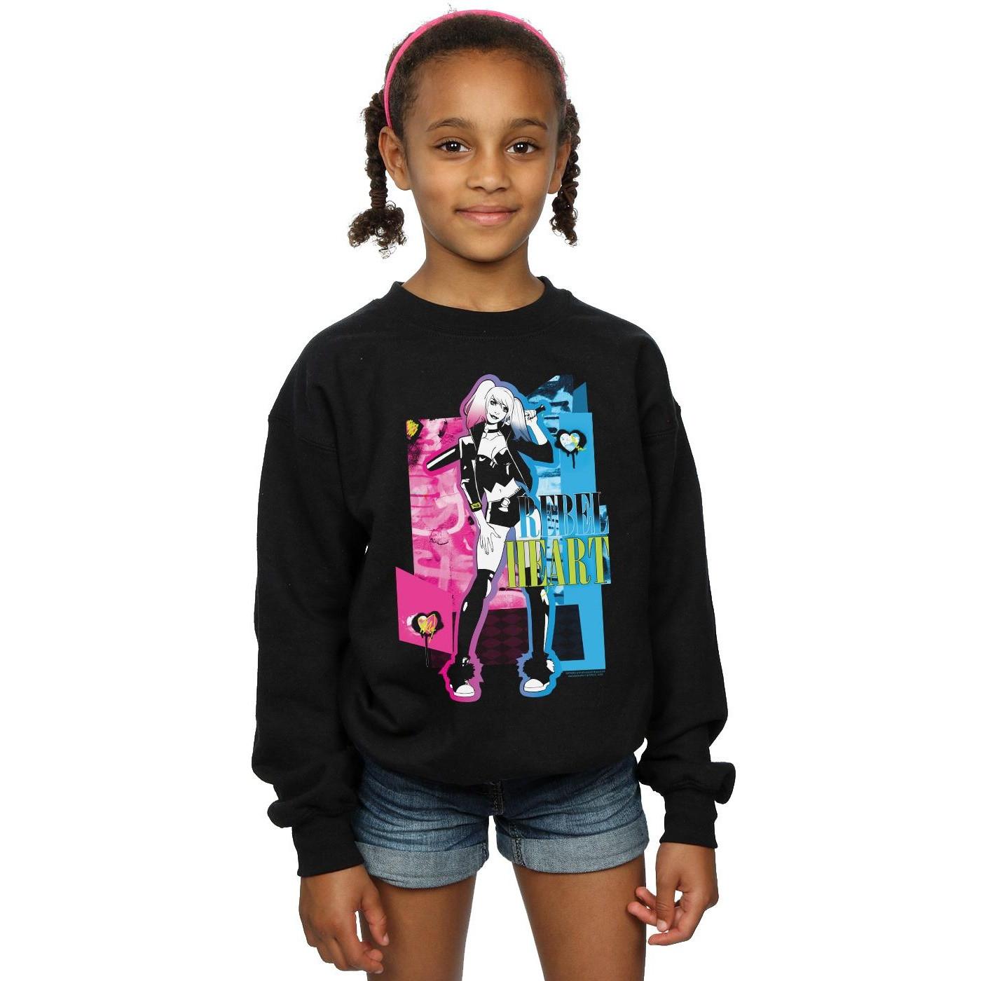 DC COMICS  Sweatshirt 