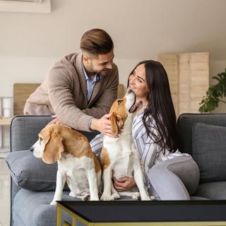 B2X Couchtisch in Schwarz und Gold  