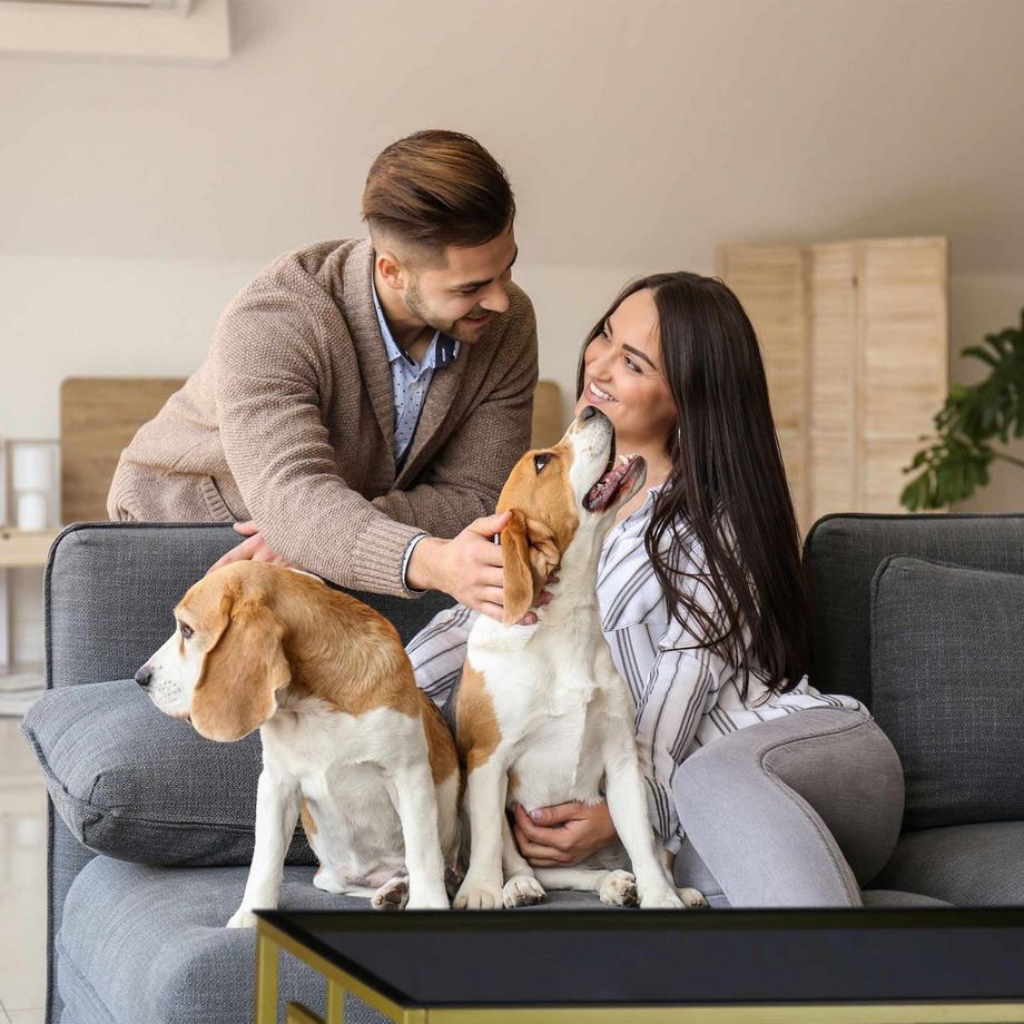 B2X Couchtisch in Schwarz und Gold  