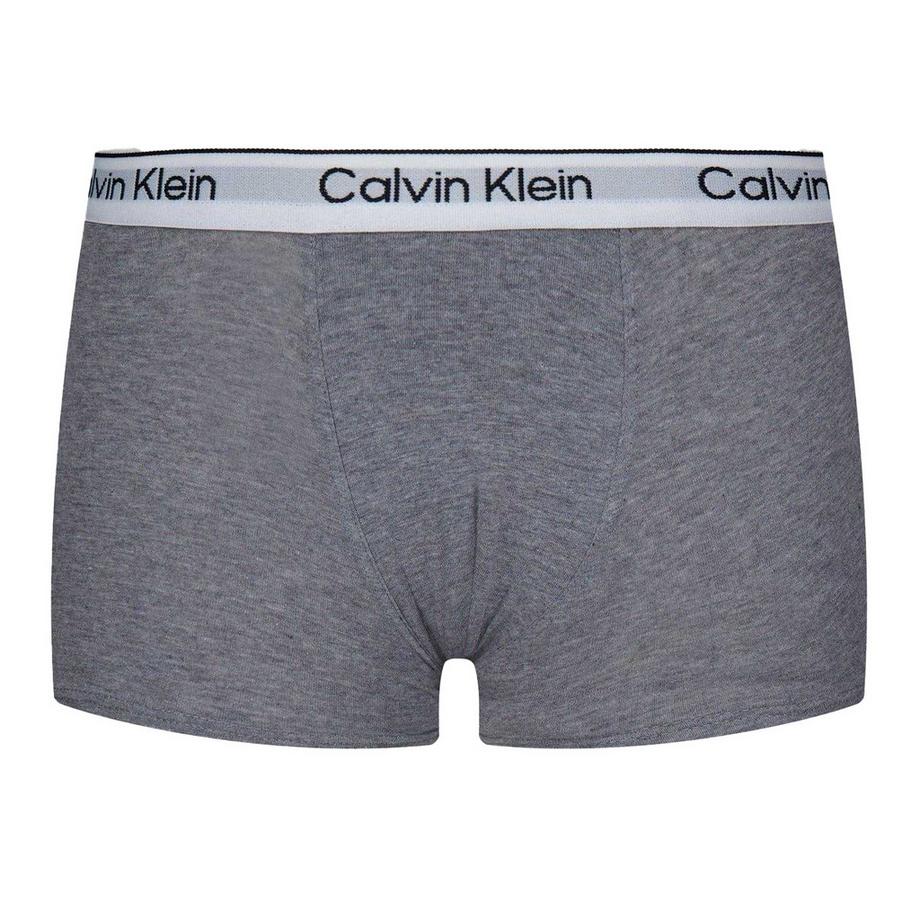 Calvin Klein  Boxershorts  (2er-Pack) 