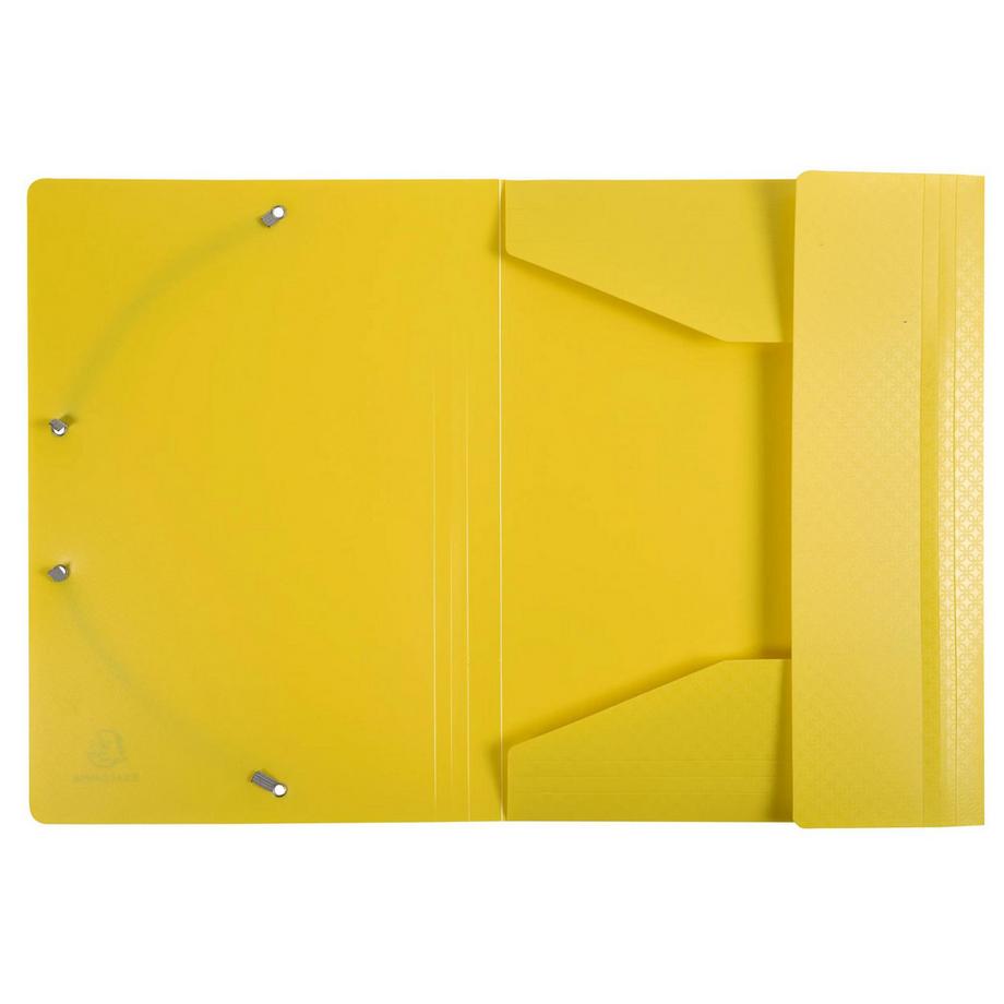 Exacompta Chemise à élastiques 3 rabats polypropylène Forever Young - A4 - x 24  