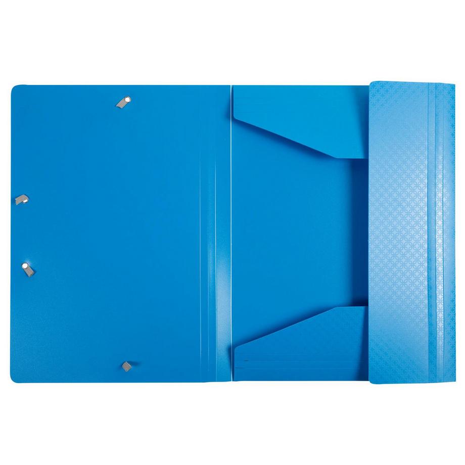 Exacompta Chemise à élastiques 3 rabats polypropylène Forever Young - A4 - x 24  