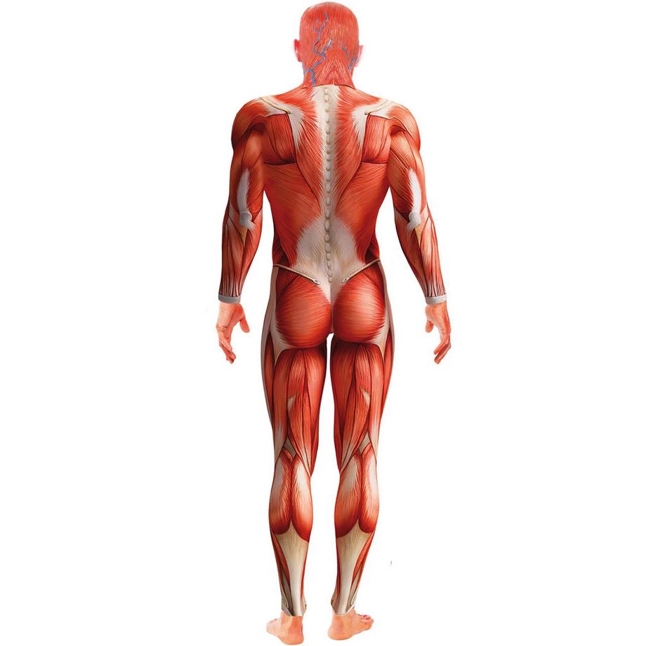 smiffys  Costume Anatomia Umana 