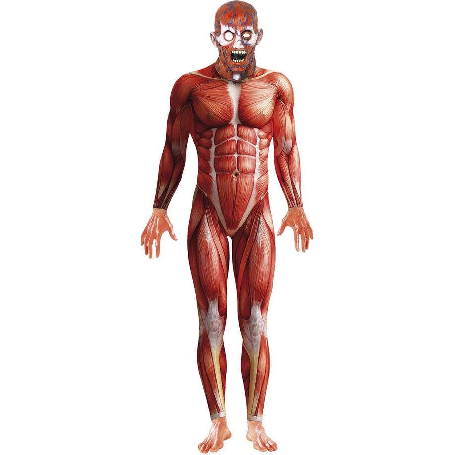 Costume Anatomia Umana