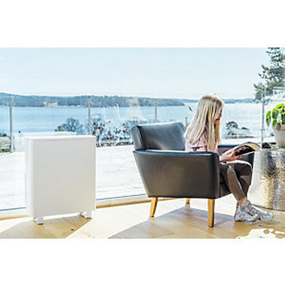 KAISER+KRAFT Purificateur d'air Woods AL 310 FC, pour pièces de max. 50 m², avec filtrage contrôlé, h x l x p 610 x 510 x 160 mm.  