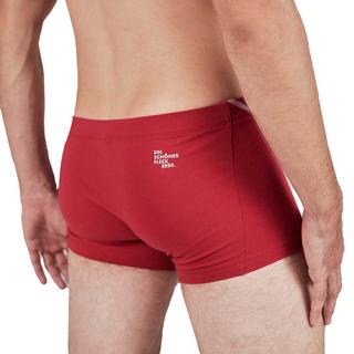 EIN SCHÖNER FLECK ERDE Boxer Confort Fit Imprimé  