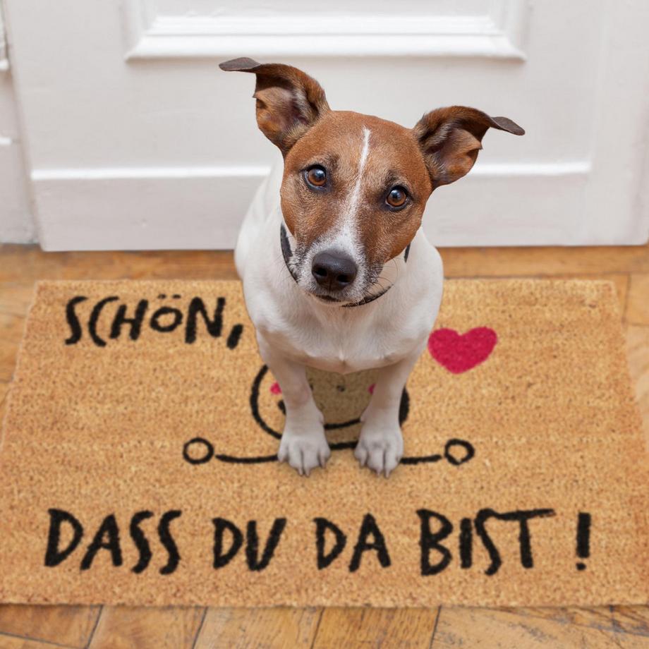 B2X Zerbino Coconut BELLO CHE TU CI SIA  