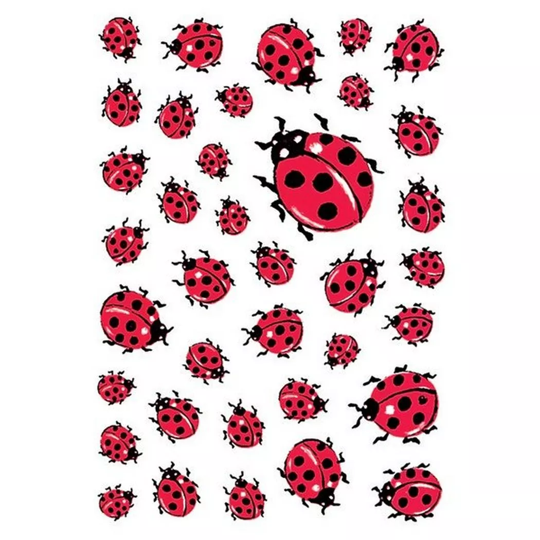 HERMA – Etiketten Decor 80x120mm 5439 Marienkäfer 3 Stück, One Size