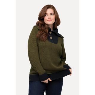 Ulla Popken  Maglione polo di cotone biologico con look bicolore, zip e maniche lunghe 