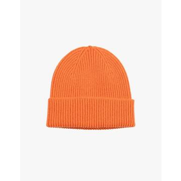 CS5081 Merino Wool Beanie-0