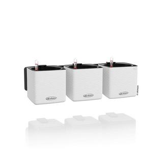 Lechuza vaso Plastica  