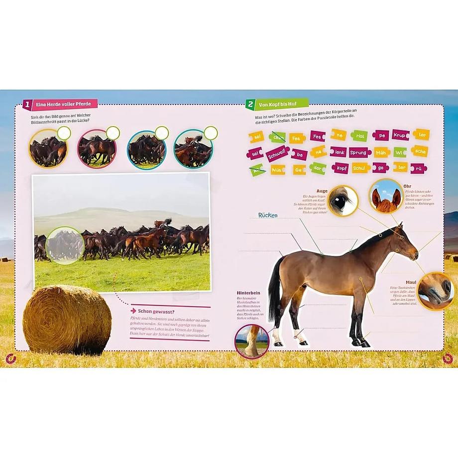Tessloff  WAS IST WAS Rätseln und Stickern: Pferde 