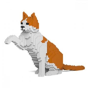 Katze orange/weiss
