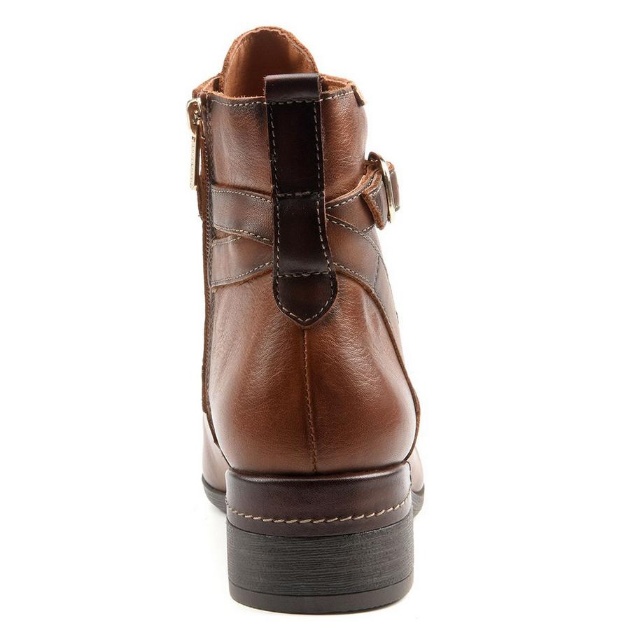 Pikolinos  MALAGA-40 