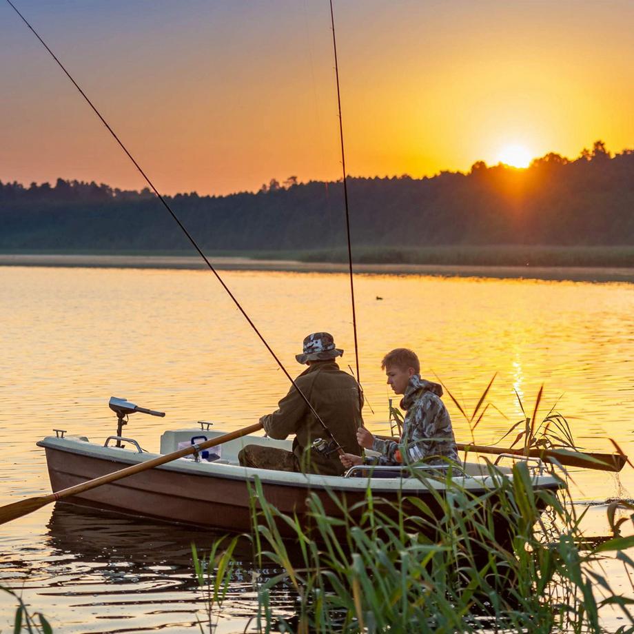 B2X Scatola di plastica trasparente  