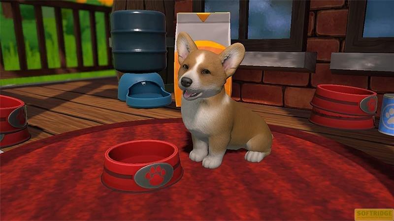 GAME  Switch Little Friends: Puppy Island 