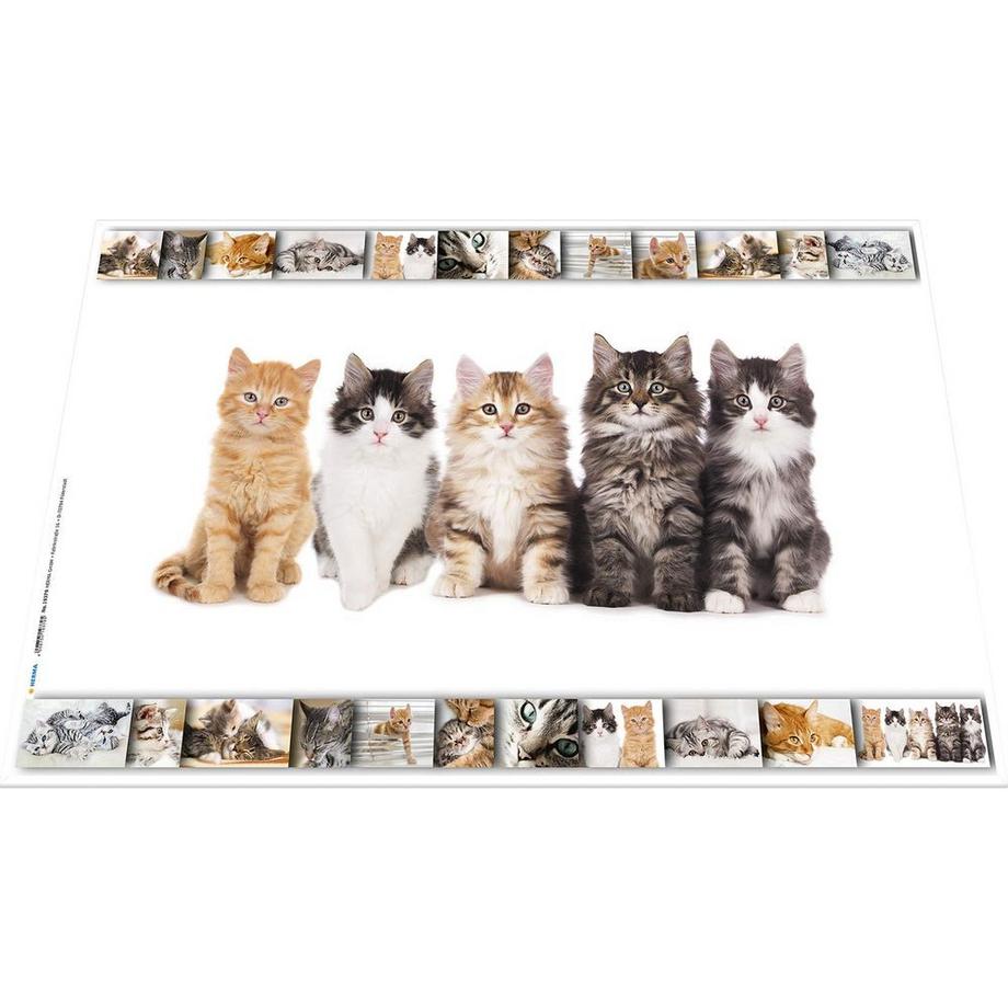 HERMA Schreibunterlage Katzen  