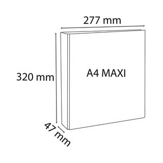 Exacompta Festes Ringbuch PP, 4 Ringe 25mm in D-Form, Rückenbreite 47mm, für DIN A4 Maxi, Kreacover - x 10  